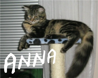Anna.JPG