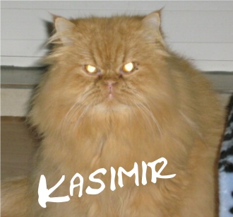 Kasimir.JPG